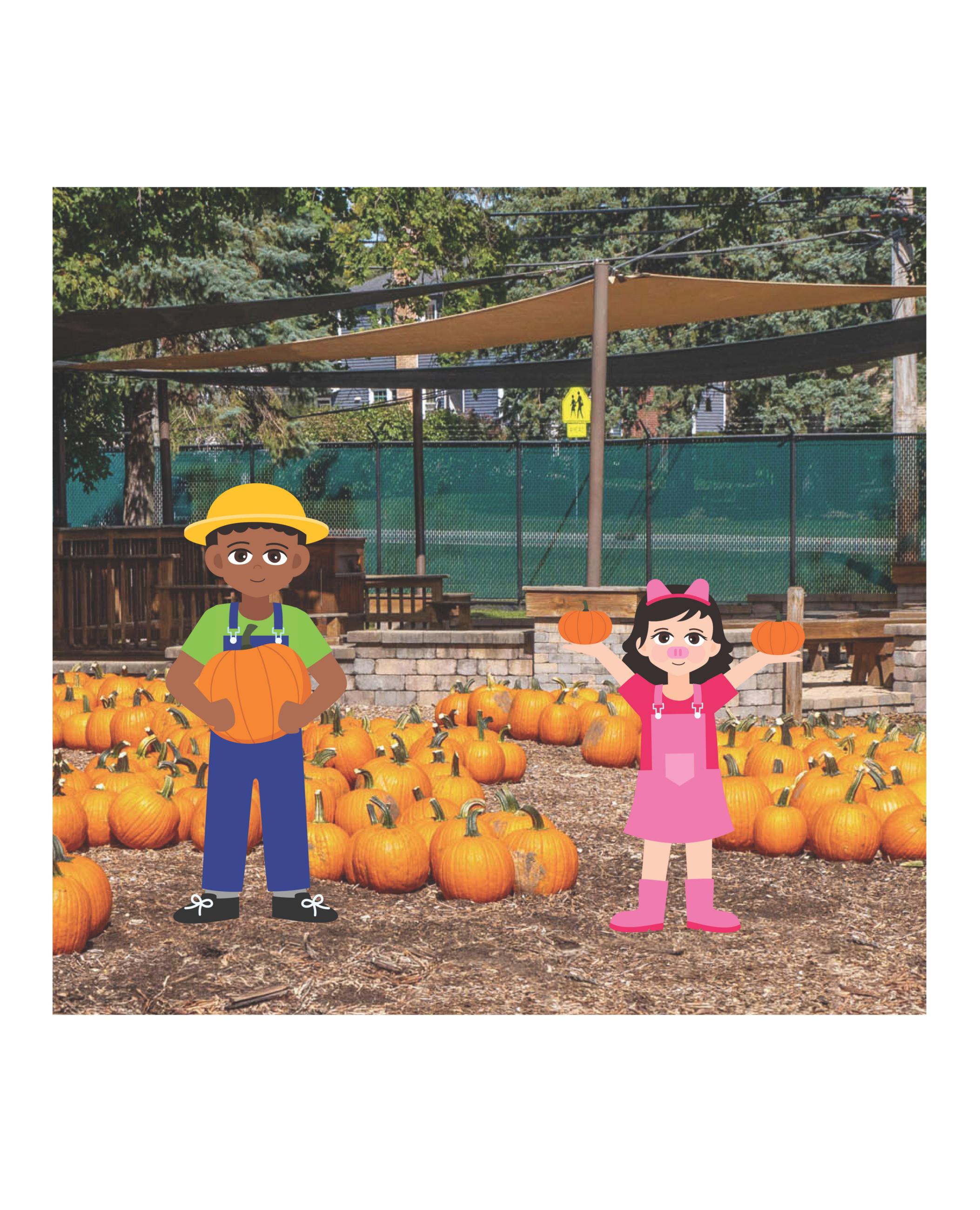 Boy and girl in a pumpkin patch with many pumpkins, under shade sails.
