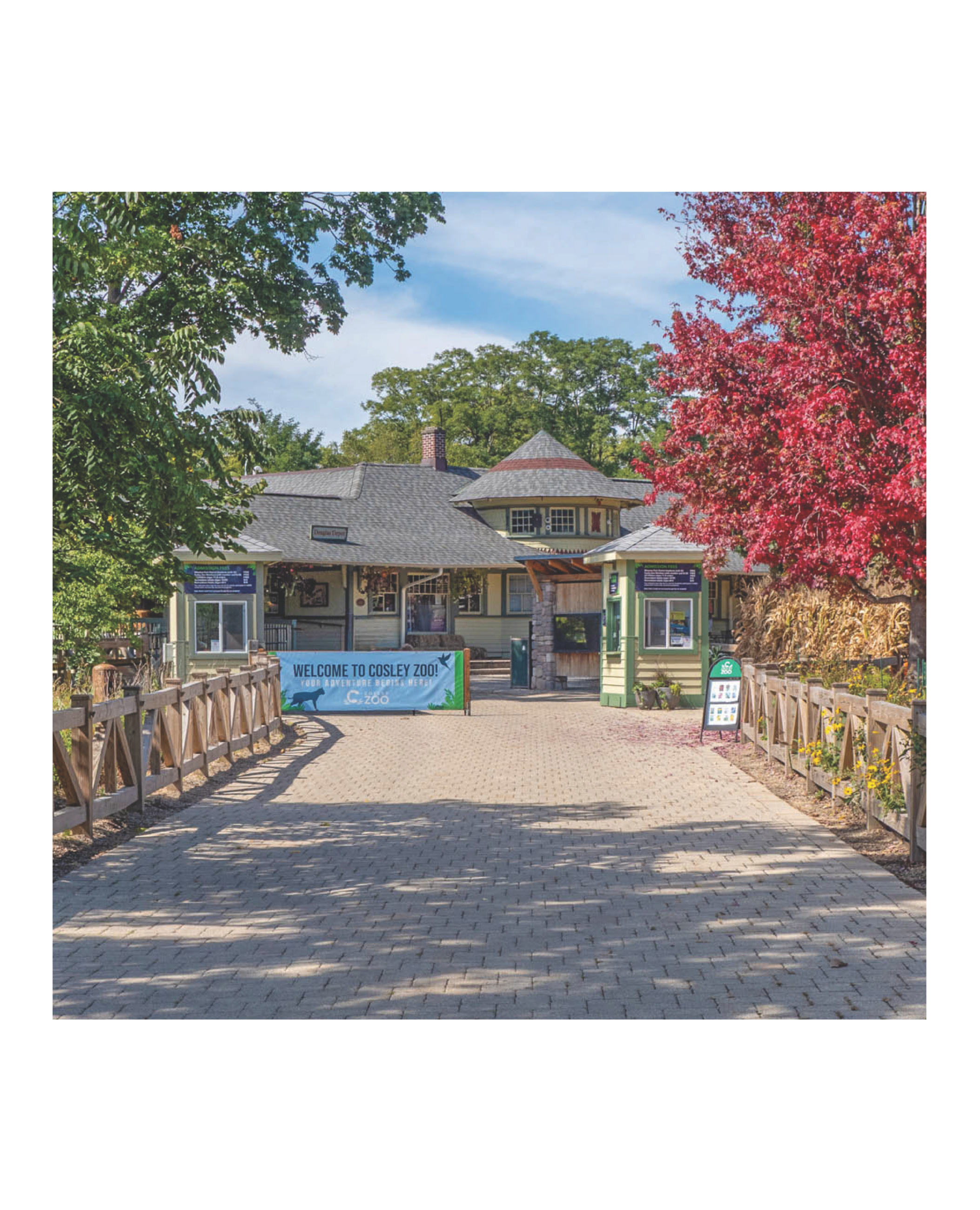Entrance to Cosley Zoo with a light-colored building, brick path, wooden fence, and autumn trees.
