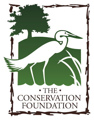 CONS Logo 2014