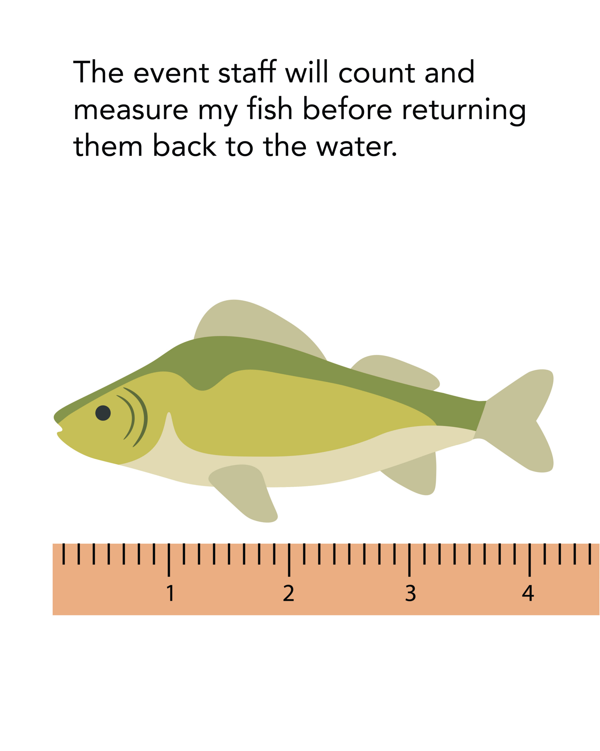 Event staff will measure the length of the fish