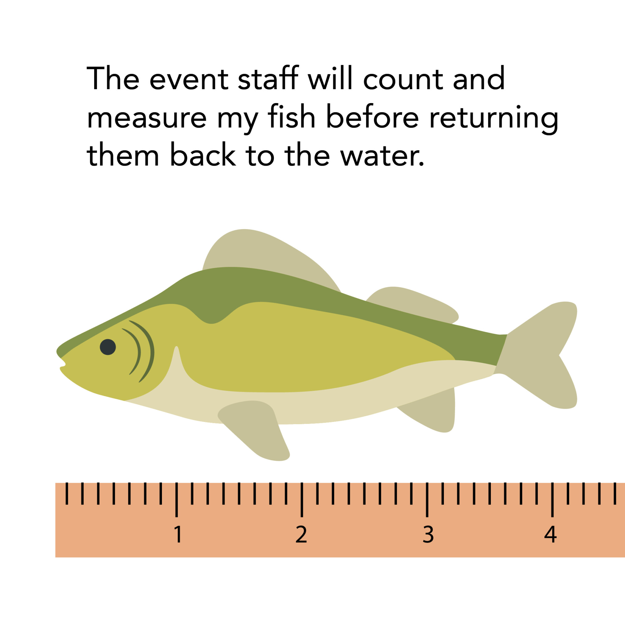 Fish-O-Rama Social Story 2025_15 Event staff will measure the length of the fish