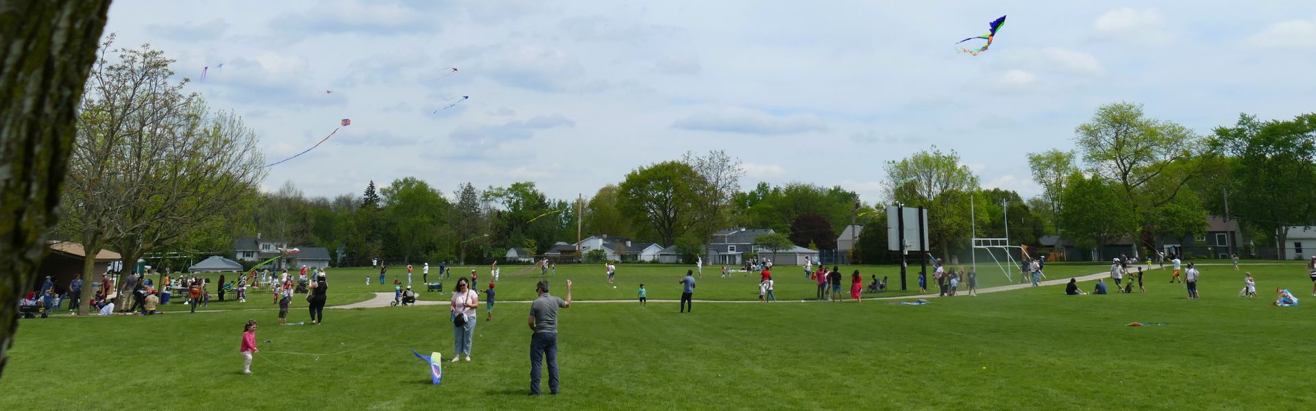 Families flying their kites up in the air at Graf Park