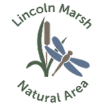 lincolnmarsh.org