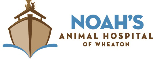 Noahs-animal-hospital-Wheaton