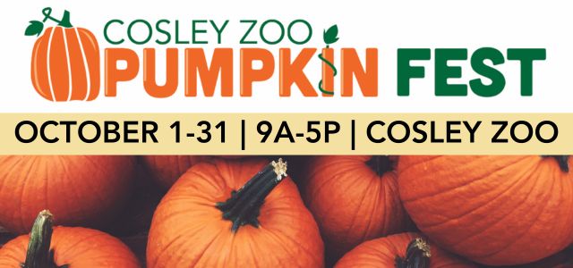 Take in the beautiful fall colors and thousands of pumpkins scattered on the zoo's lawn