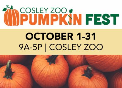Take in the beautiful fall colors and thousands of pumpkins scattered on the zoo's lawn