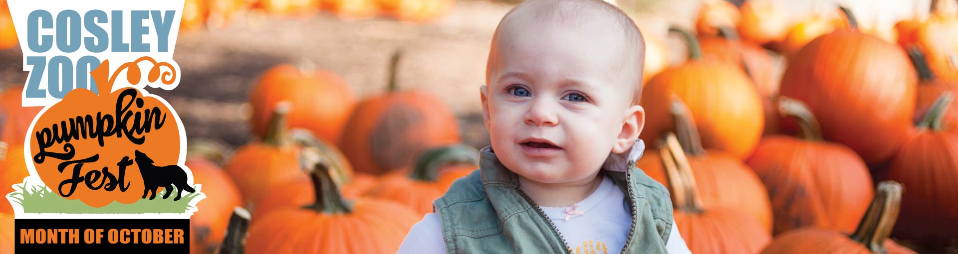 Cosley Zoo Pumpkin Fest banner image links to https://wheatonparkdistrict.com/events/pumpkin-fest/