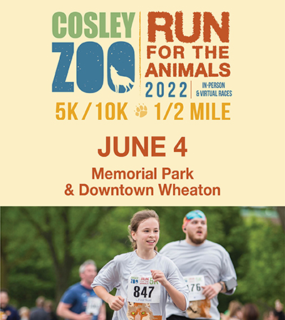 Cosley Zoo Run for the Animals event details