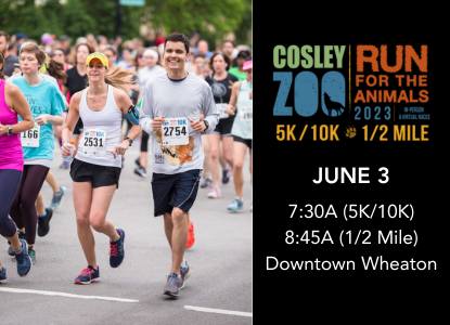 Learn more about Cosley Zoo Run for the Animals