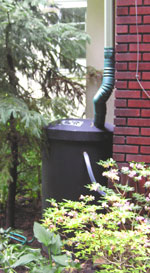 rain barrel rain barrel